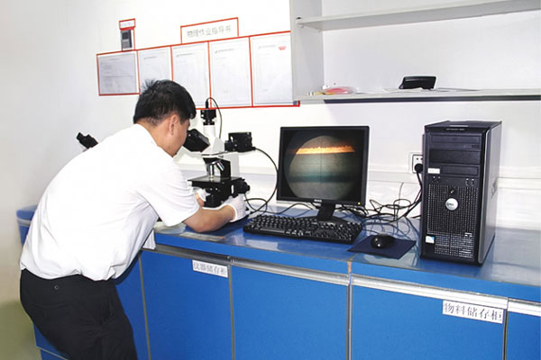 Microsection Analyzer